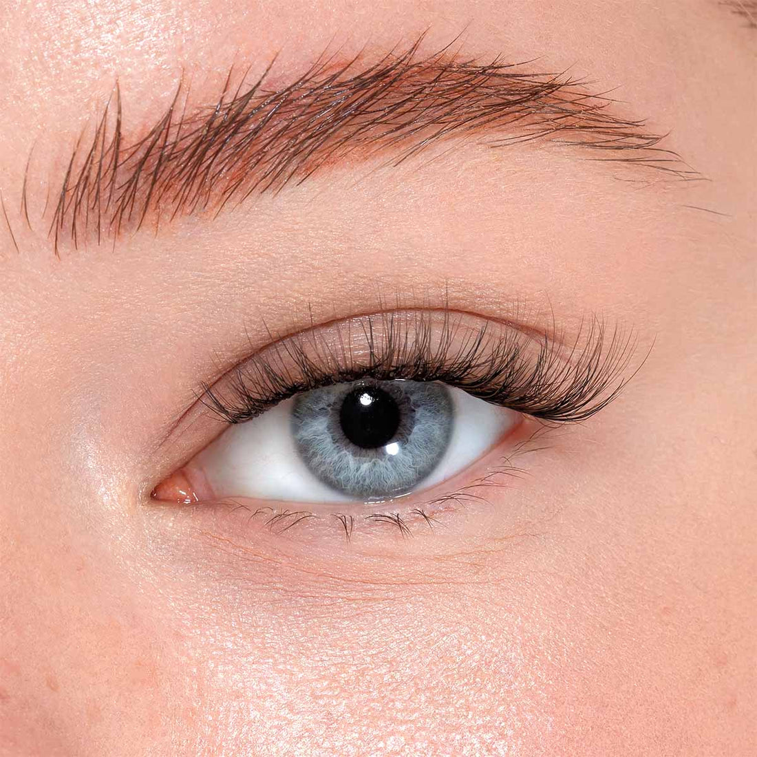 Classy Brown - Ciglia