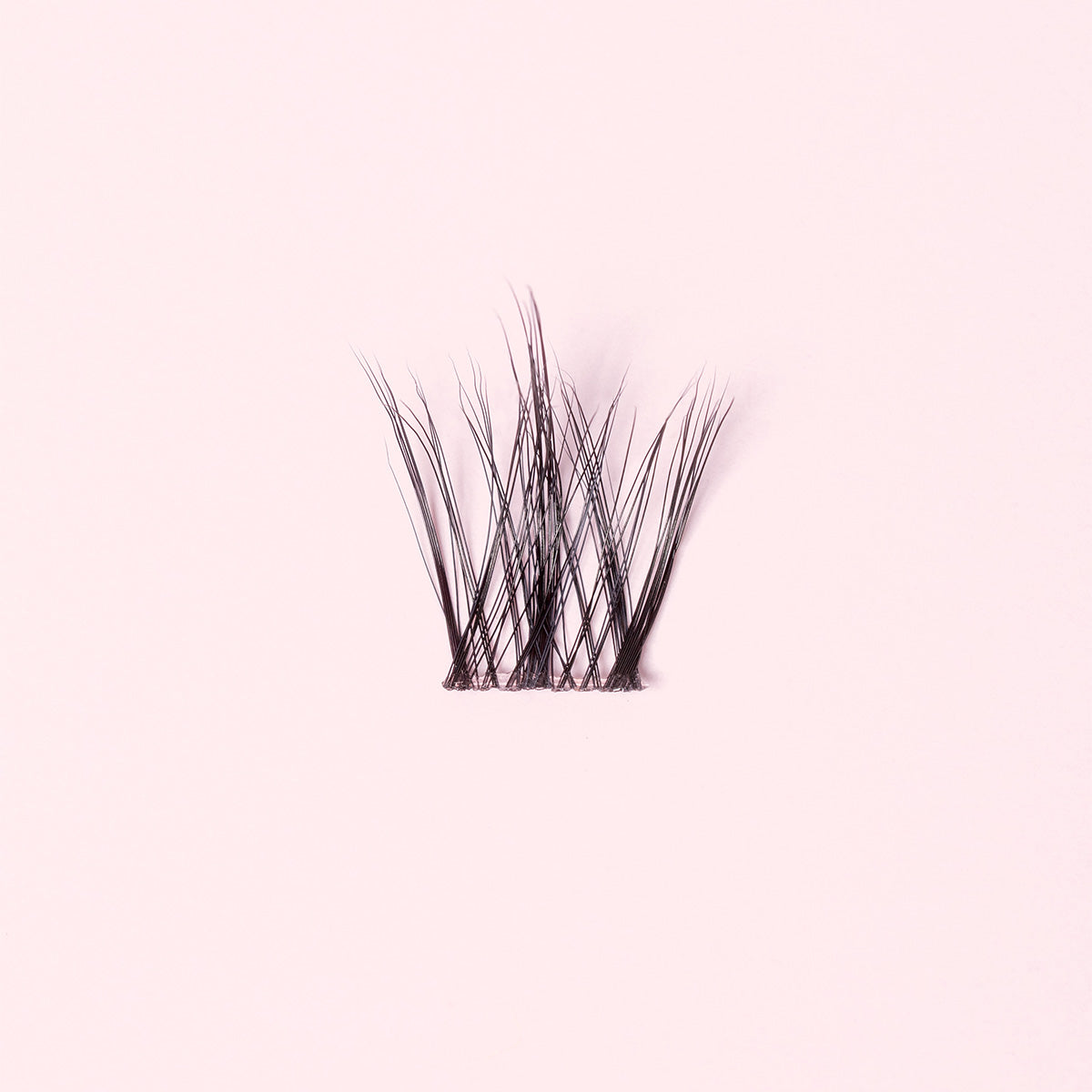 Wispy Wet - KIT