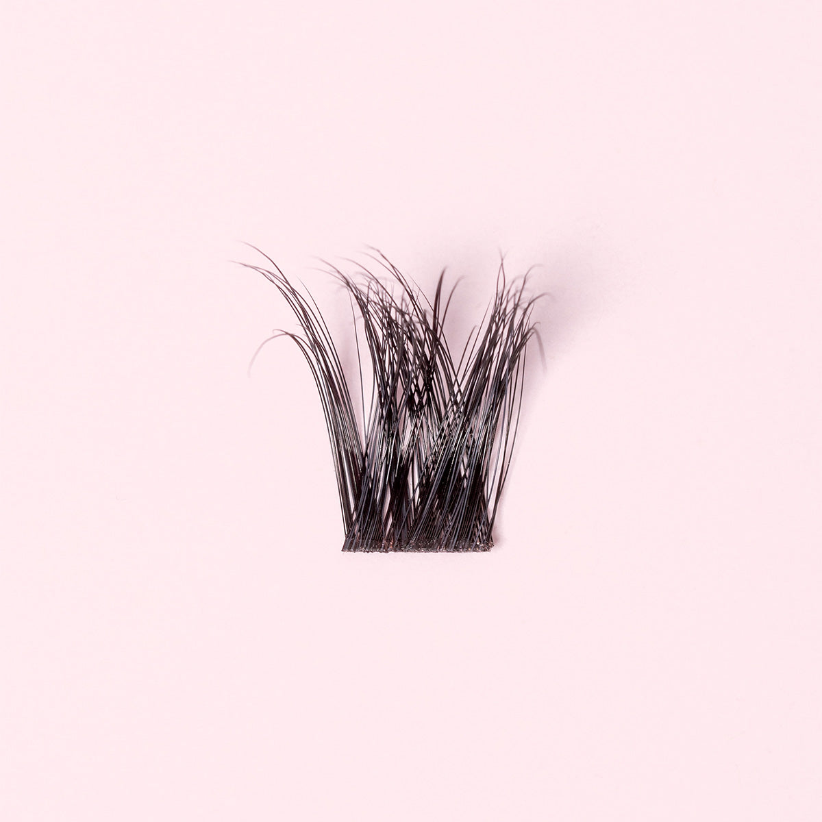 Glamour Black - Ciglia