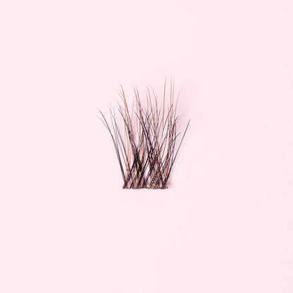 Classy Brown - Ciglia