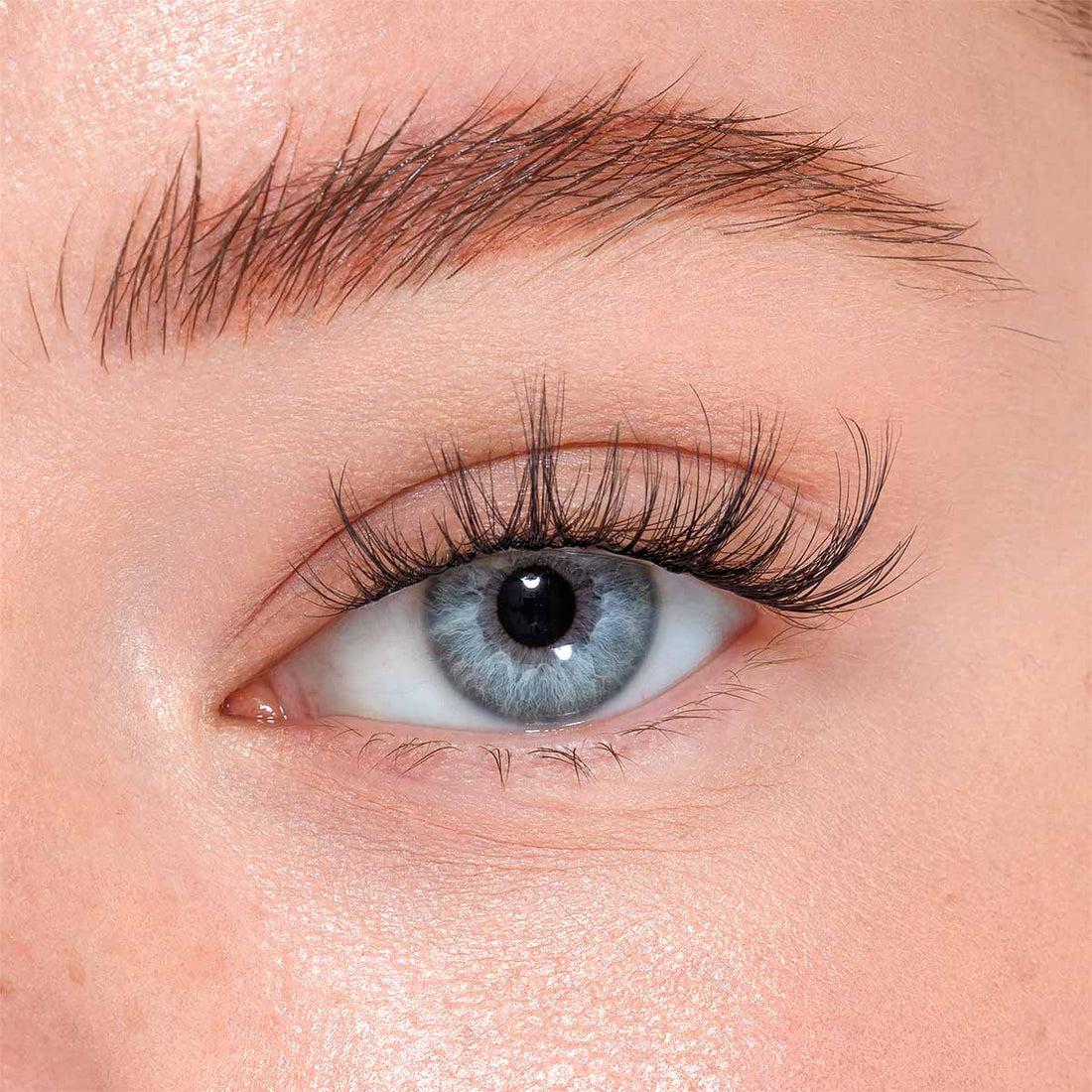 Wispy Wet - KIT